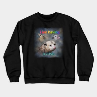 I am having a crisis possum word art Crewneck Sweatshirt